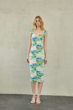 Zayel Midi Mesh Dress Ciel Floral