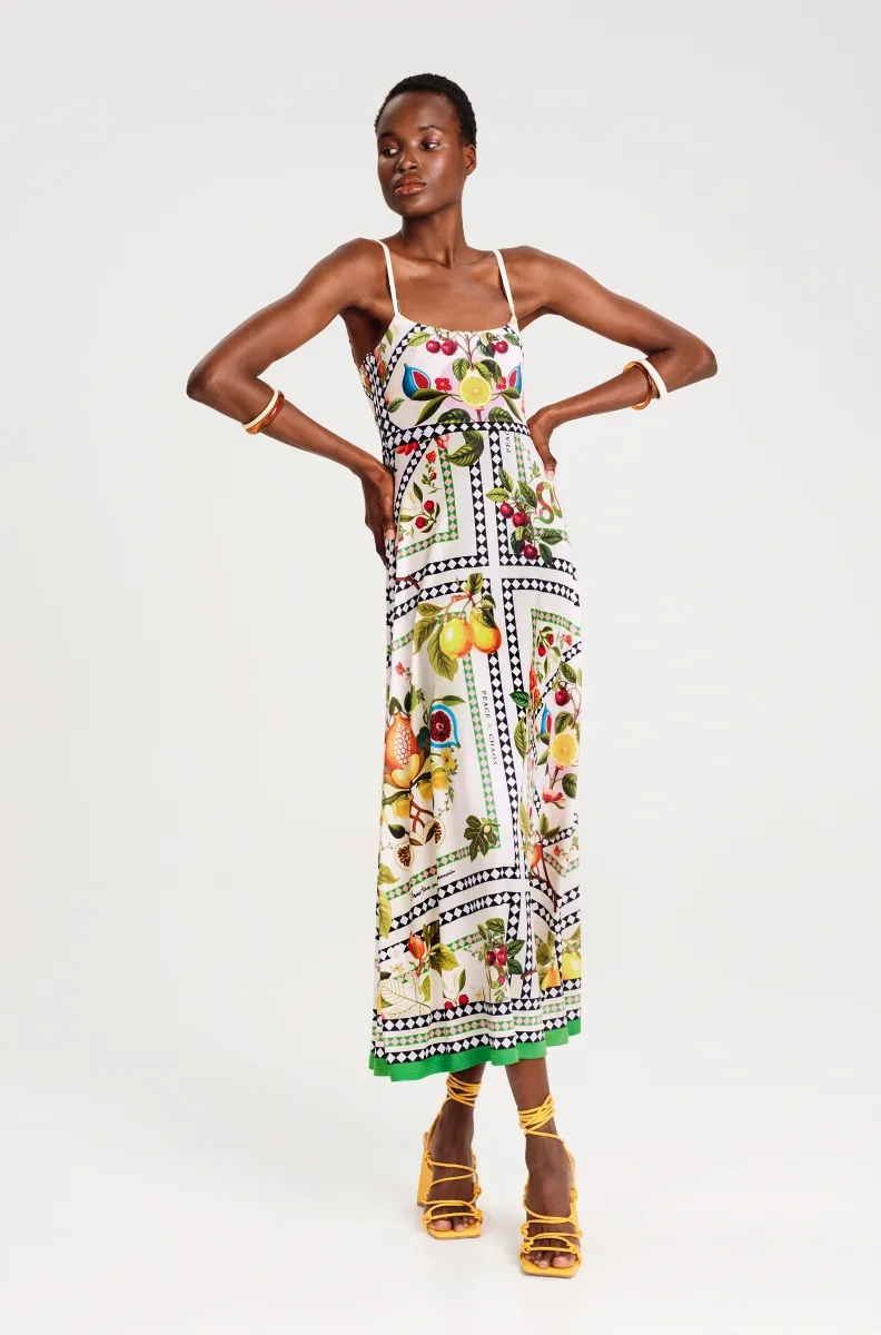 s26915a_1_ Tutti-Frutti Dress - Image 1